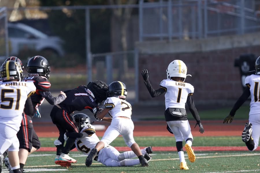 2025 8U championship game photo preview